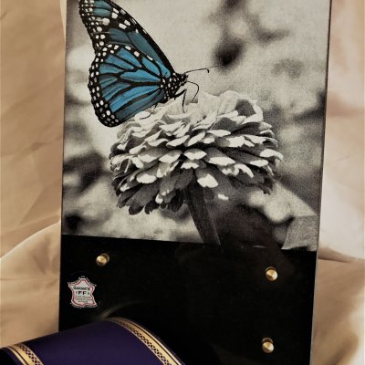 Plaque granit - papillon bleu en sérigraphie