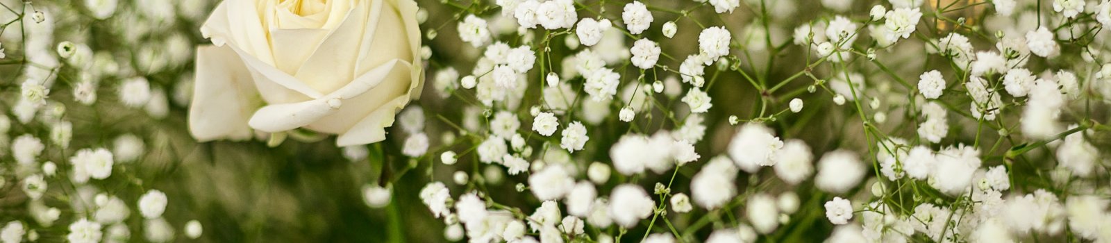 Fleurs de cimetière